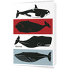 Boston Whales 5 x 7 Greeting Card