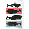 Nantucket Whales 5 x 7 Greeting Card