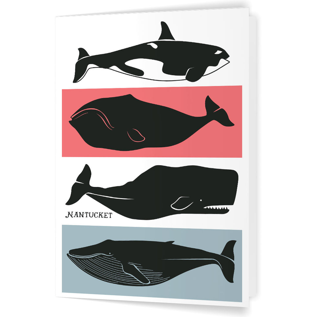 Nantucket Whales 5 x 7 Greeting Card