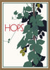 Hops Vine Magnet