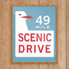 49 Mile Scenic Drive 11 x 14 Print