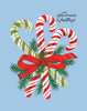 Christmas Greetings Candy Canes Magnet