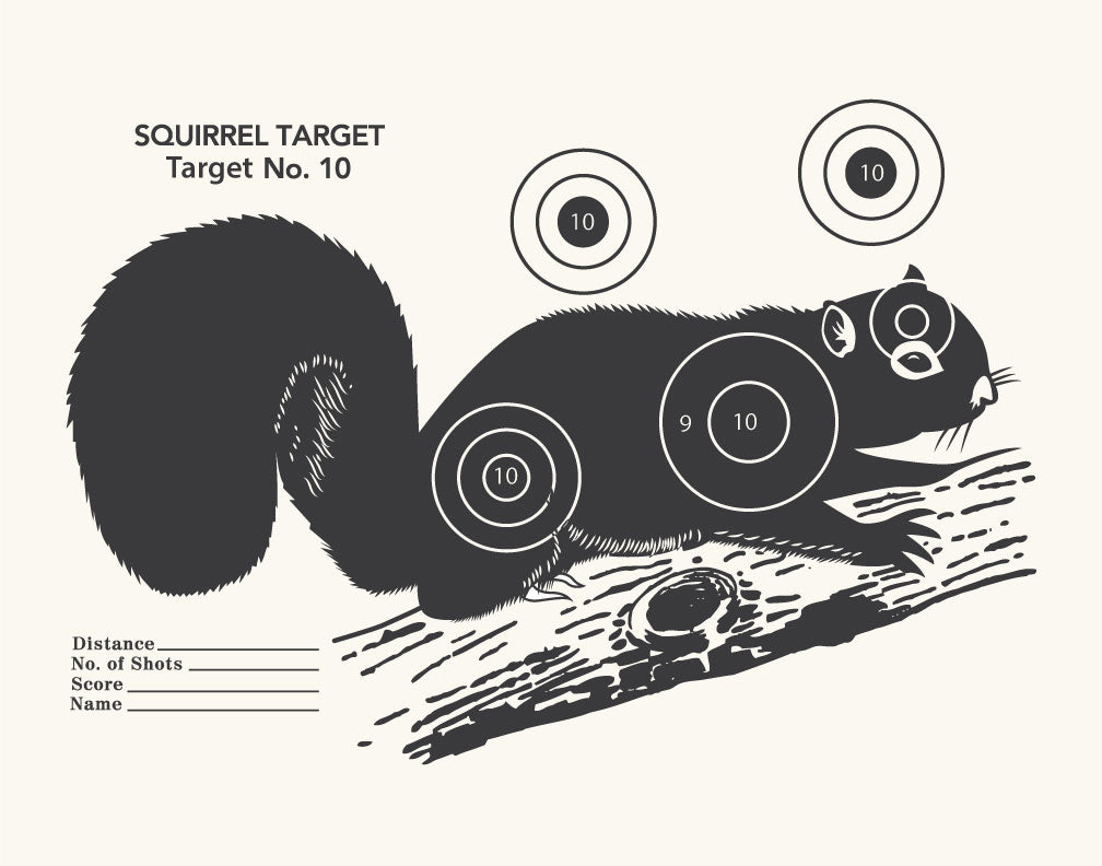 Vintage Squirrel Shooting Target Magnet