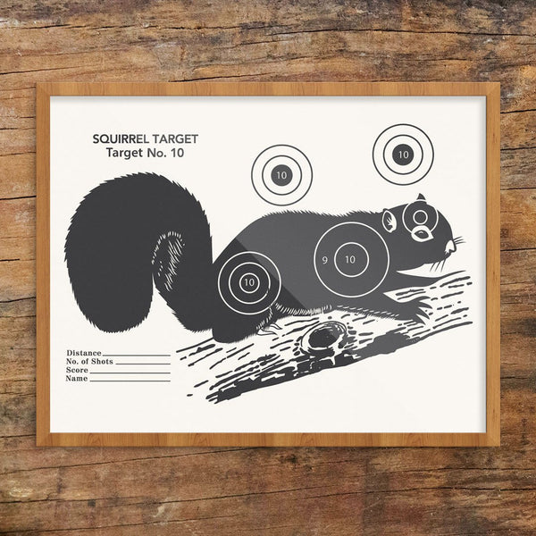 Vintage Squirrel Shooting Target Print