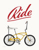 Ride Stingray Bike Magnet