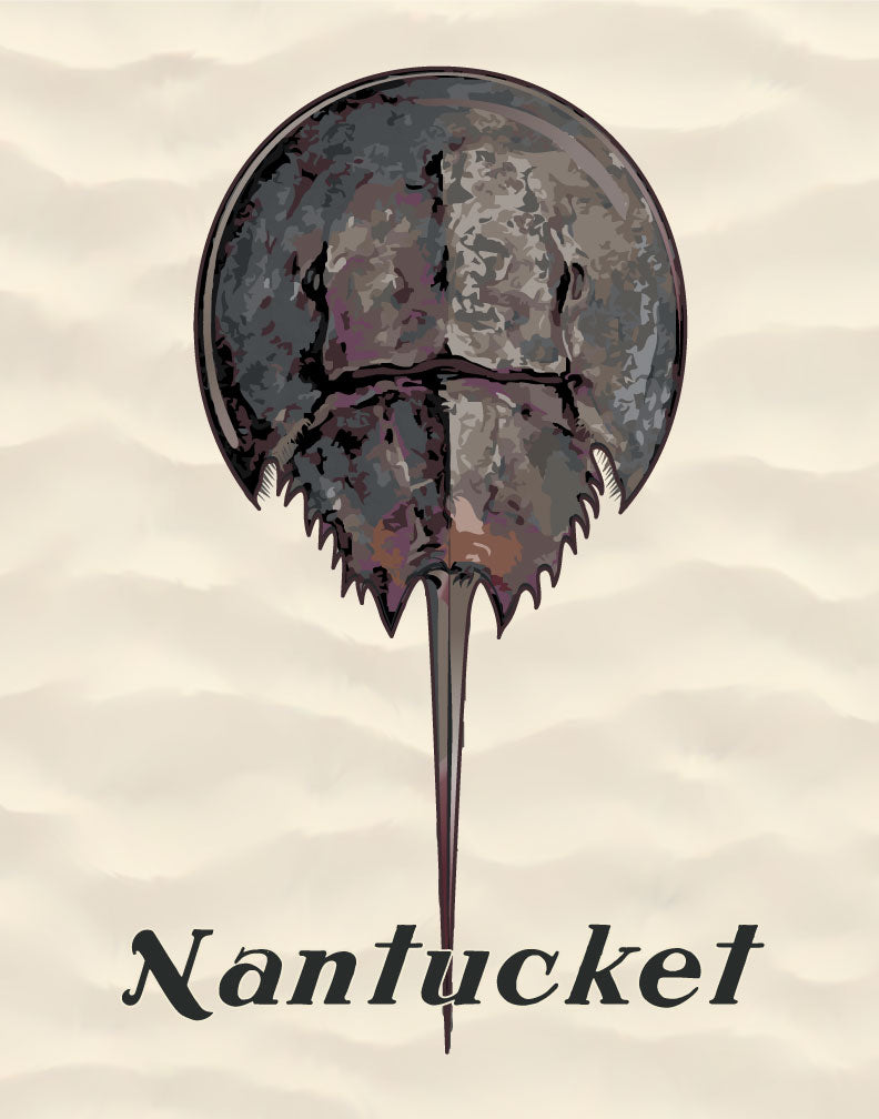 Nantucket Horseshoe Crab Magnet