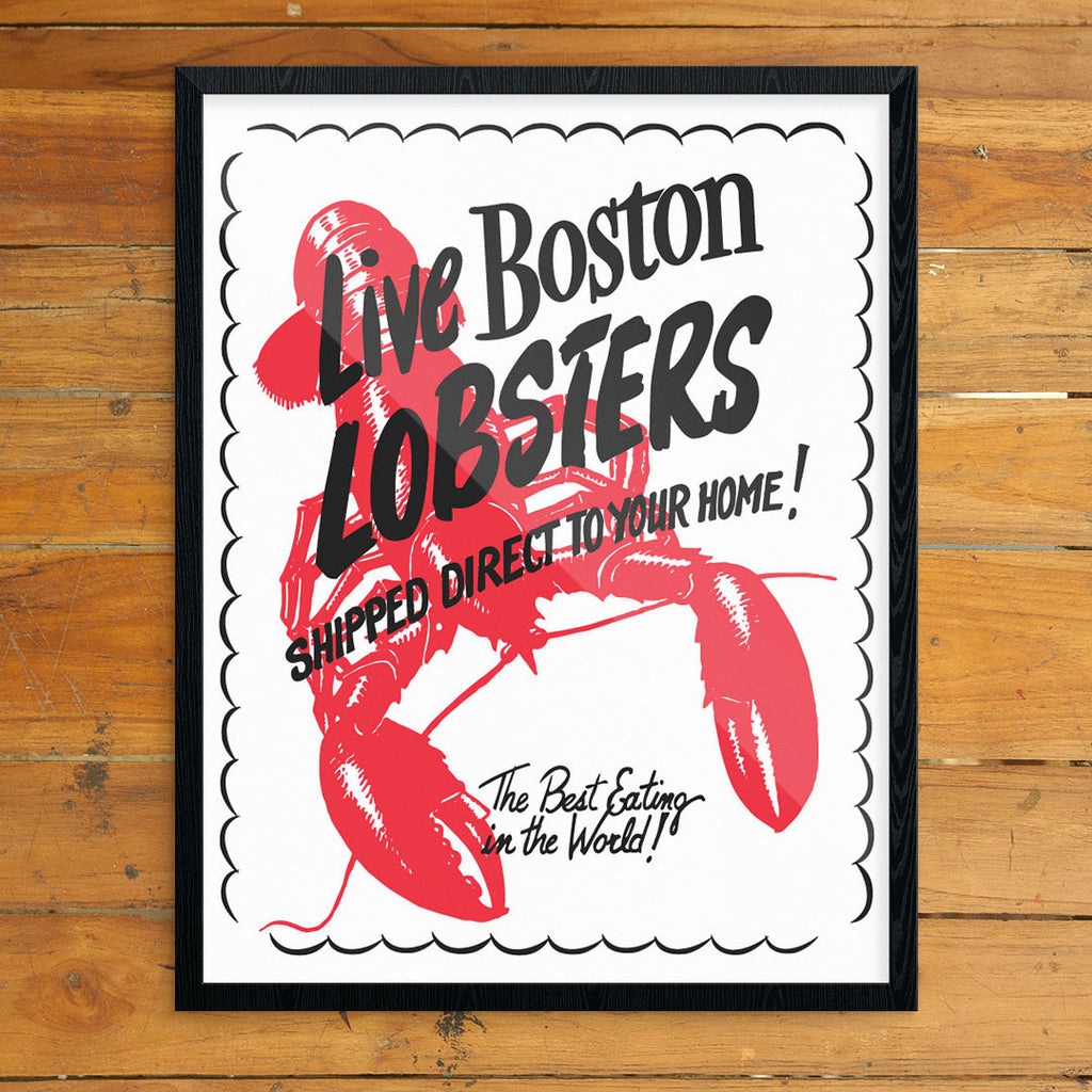 Live Boston Lobsters 11 x 14 Print