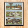 Mid Century Modern Homes 11 x 14 Print