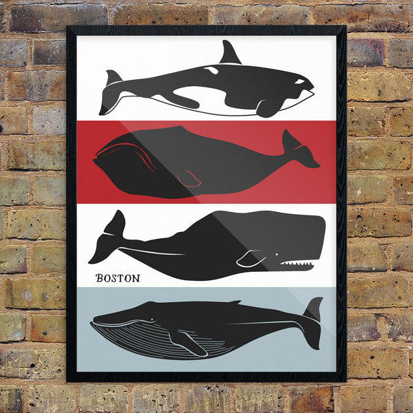 Boston Whales 11 x 14 Print