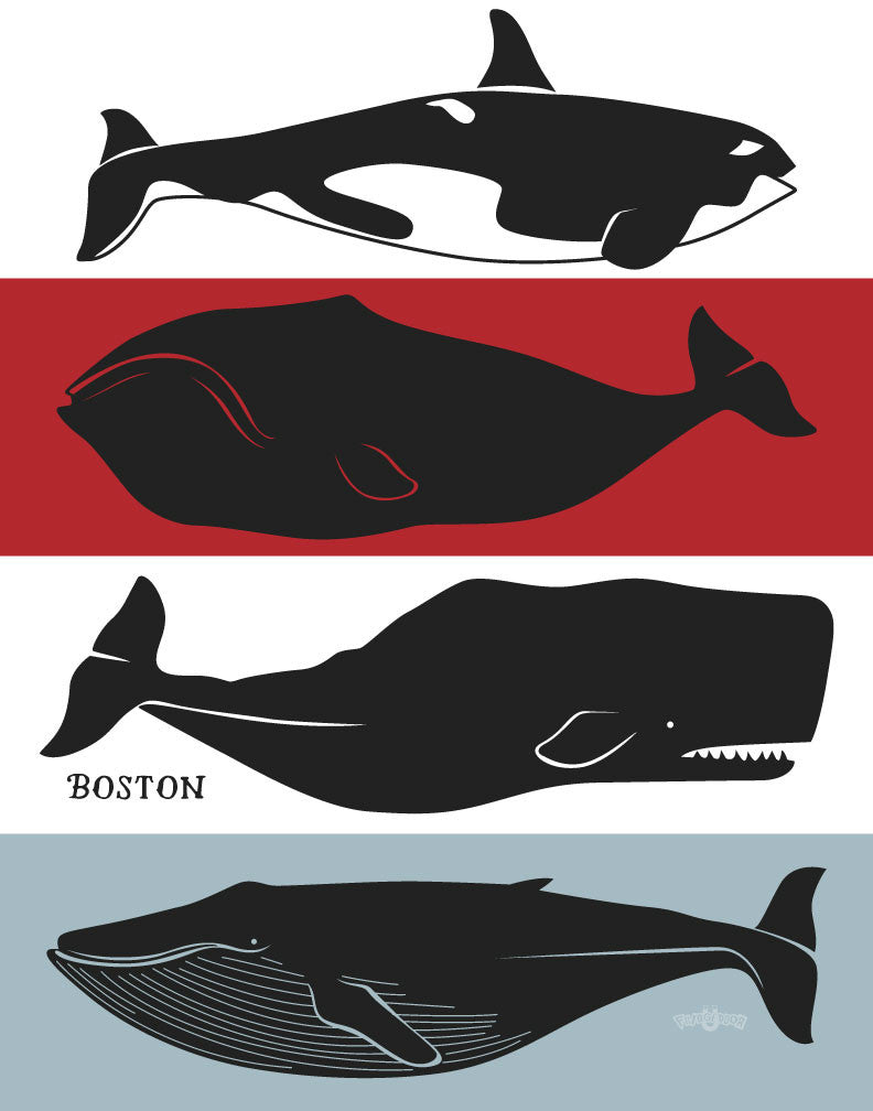 Boston Whales Magnet