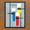 Cambridge Test Tubes 11 x 14 Print