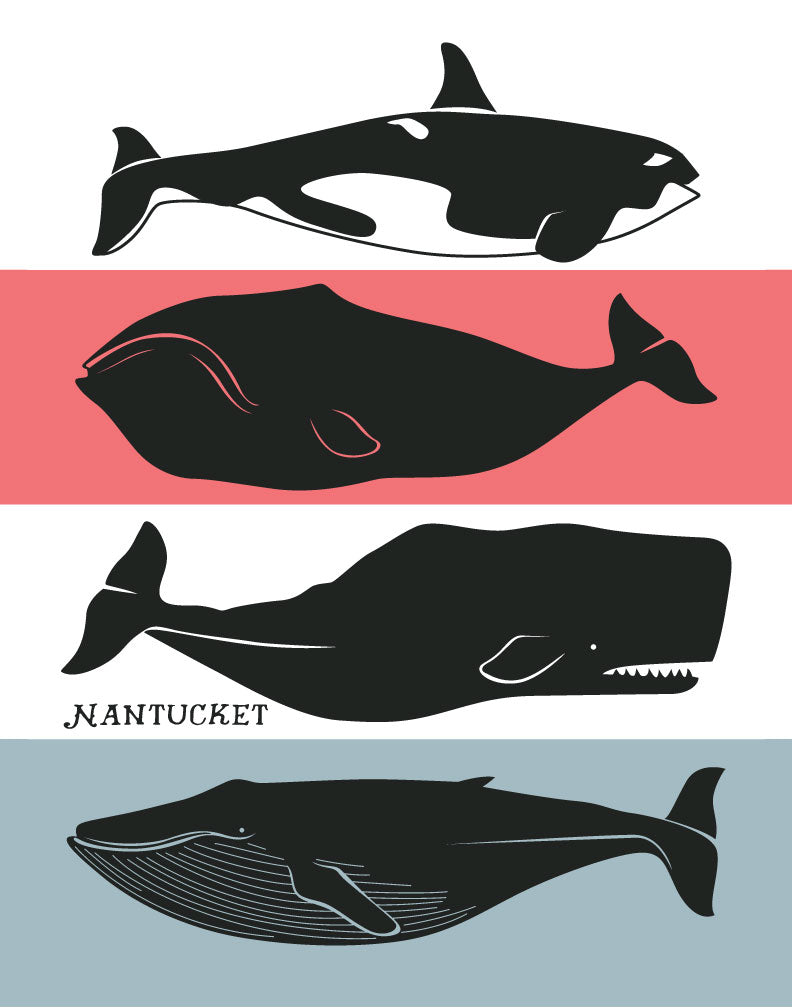 Nantucket Whales Magnet