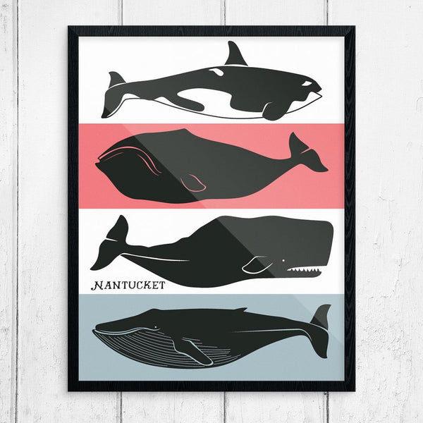 Nantucket Whales Print