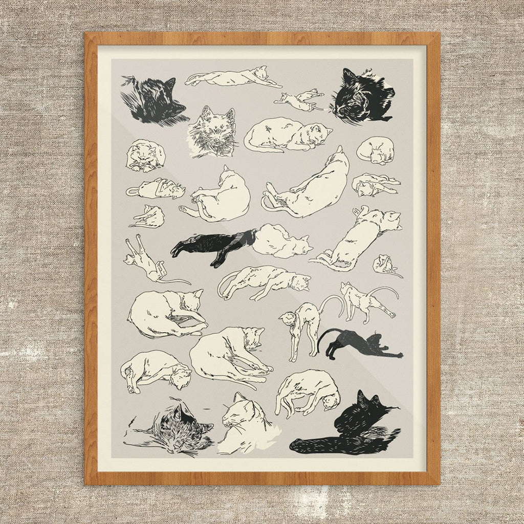 Cats Relaxing Print