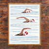 Swim Lanes Swim Race Print